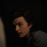 Steve Harrington 