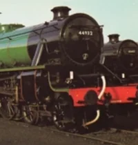 Henry -Classic-
