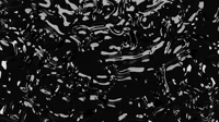 Symbiote Infection
