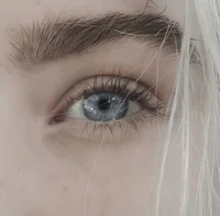 Dani Targ