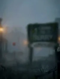 IT 