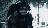 BAYVERSE DONATELLO