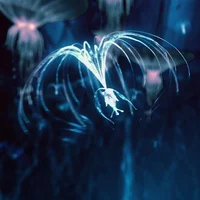 27_Neytiri