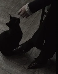 Sev Snape 