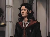 Sirius Orion black