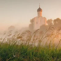 Вы устали вы больны 