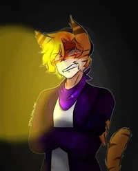 Tigry