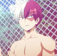 Shoto Todoroki 