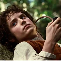 Frodo Baggins