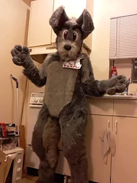 Tramp Dog Fursuit