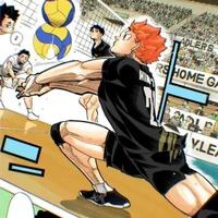 HQ - Shoyo Hinata
