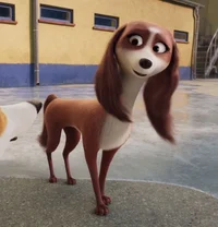 Wanda