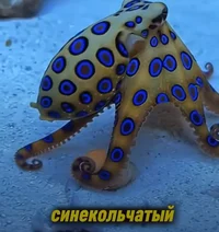 Трое существ