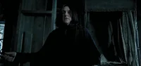 Sev Snape