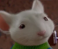 Stuart Little