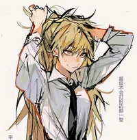 1CSM Fem Denji