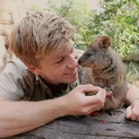 Robert Irwin 