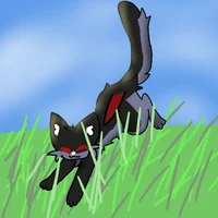 Fangs kittybat 