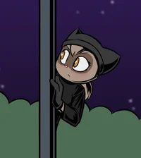 Raccoon thief