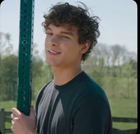 The Crush
