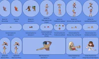 Pokémon Swim Meet