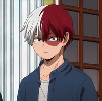 Shoto Todoroki 