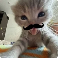 Lulu