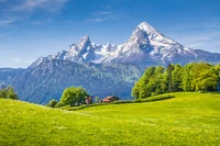 Sound of Music