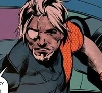 Slade Wilson