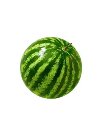 Water melon 