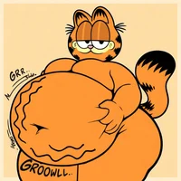 Garfield The Cat