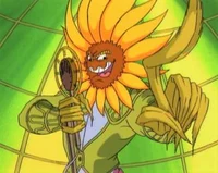 El Seed