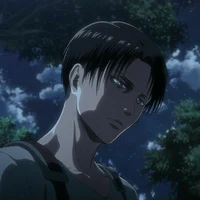 Levi Ackerman 