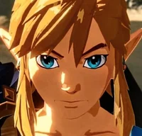 Link