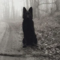 Sirius Orion Black 