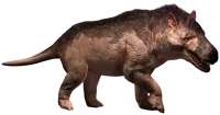 Andrewsarchus