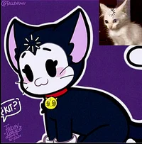 Kit-w-