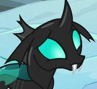 Thorax MLP