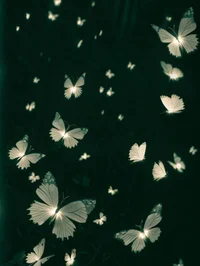 Lunaria