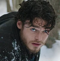 Robb
