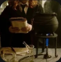 Harry II Twin