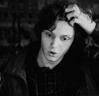 TODD HAYNES