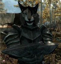 0 Kharjo Skyrim