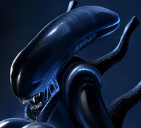 Xenomorph
