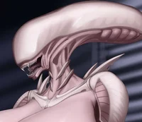 Xenomorph Albino