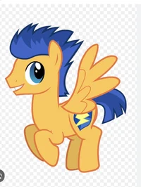 Flash Sentry 