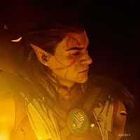 BG3 - Halsin