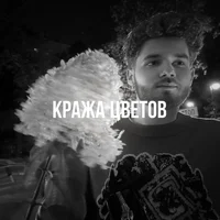 Vlad Kuertov