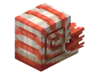 Nautilus