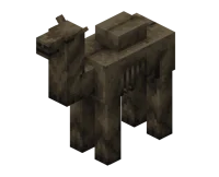 Camel Husk
